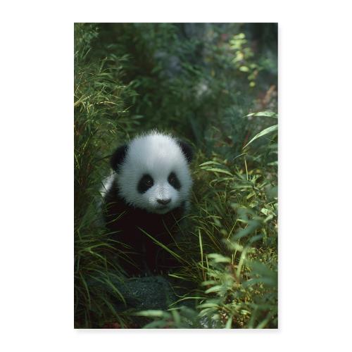Panda Among Leaves - Poster 8x12