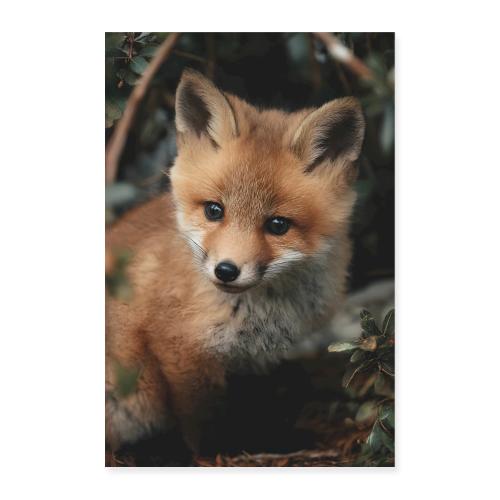 Fox: Wild Innocence - Poster 8x12