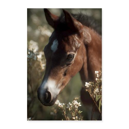 Horse: Gentle Spirit - Poster 8x12