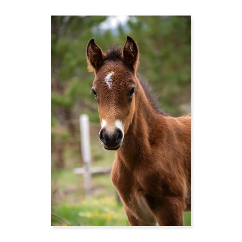 Horse: Steadfast Spirit - Poster 8x12