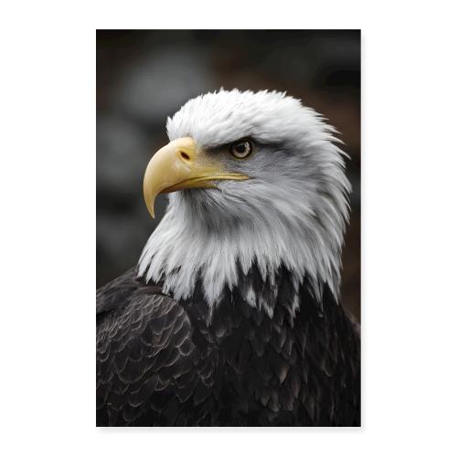 Eagle: Eyes of Majesty - Poster 8x12