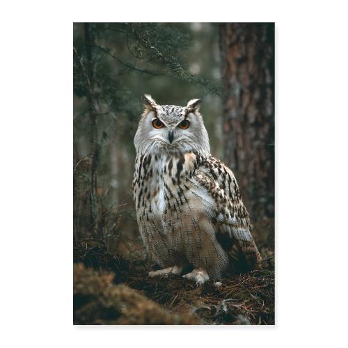 Owl: Forest Guardian - Poster 8x12