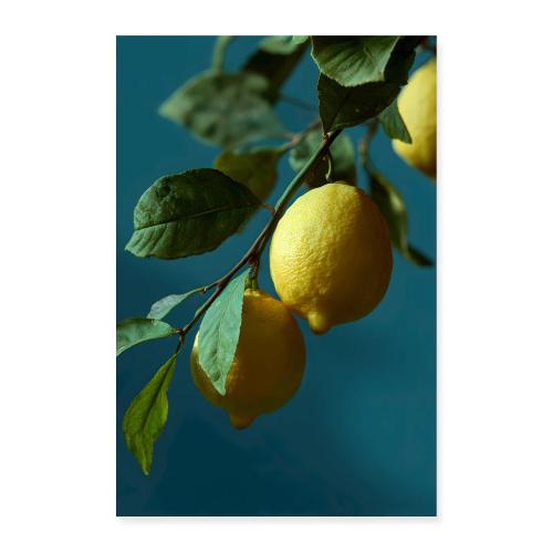 Lemon Grove Morning - Poster 8x12