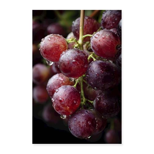 Dew-Kissed Purple Grapes - Poster 8x12