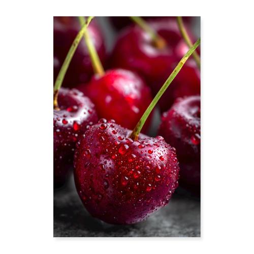 Cherries: Scarlet Luster - Poster 8x12