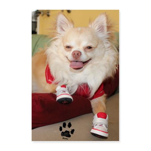 Gizmo Poster Pawtograph - Poster 8x12