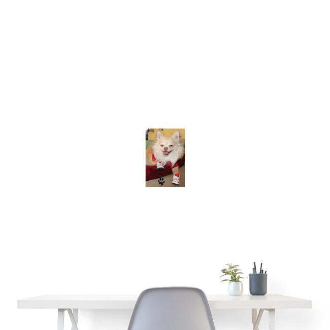 Gizmo Poster Pawtograph