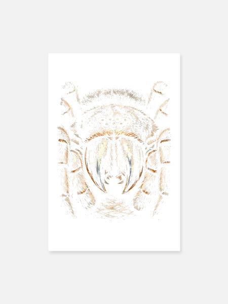 Tarantula Owner - Poster 8x12 - white - Front