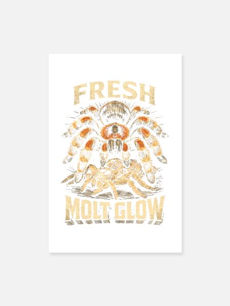 Tarantula Owner Fresh Molt - Poster 8x12 - white - Front