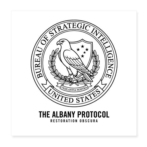 BSI | From The Albany Protocol - Poster 8x8