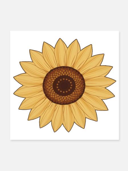 Bright Yellow Sunflower - Poster 8x8 - white - Front