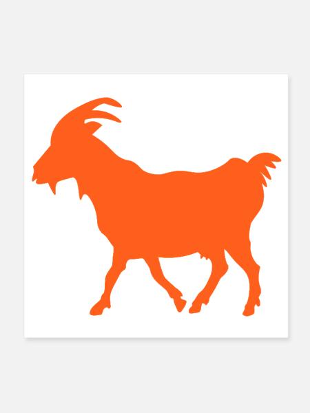 goat orange - Poster 8x8 - white - Front