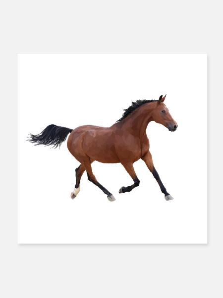 Chestnut Runner in Motion - Poster 8x8 - white - Front