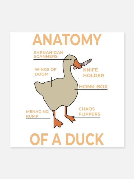Anatomy Of A Duck - Poster 16x16 - white - Front