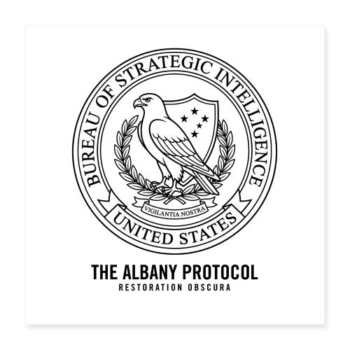 BSI | From The Albany Protocol - Poster 16x16