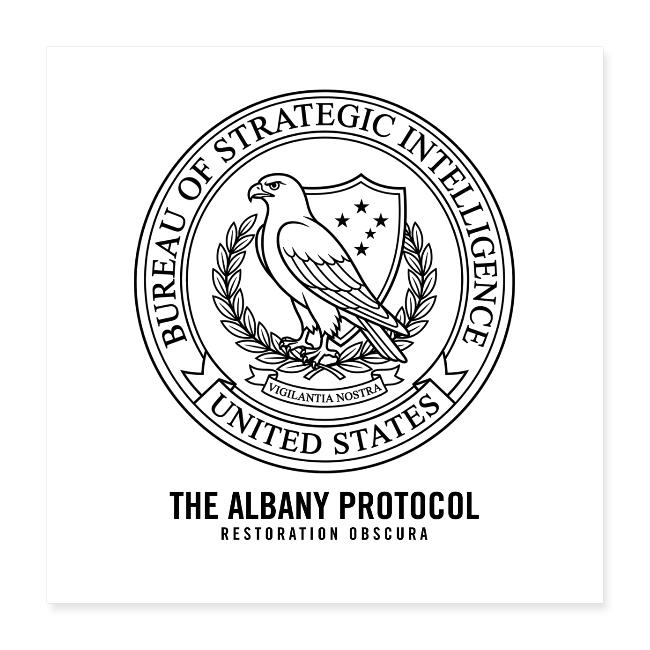 BSI | From The Albany Protocol