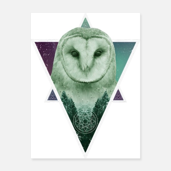 barn owl spirit animal nature and outdoor lover t' Poster 18x24 |  Spreadshirt