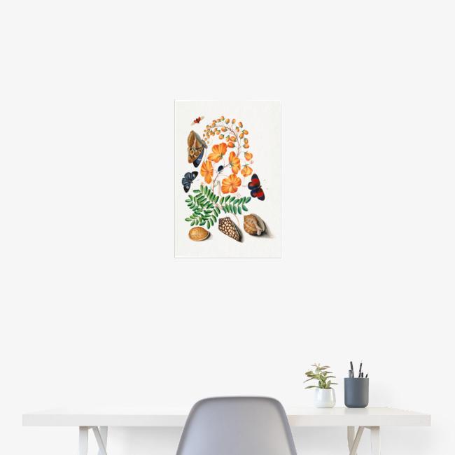 Butterflies & Beetles