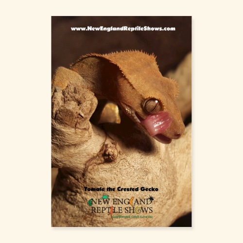 Tomale the Crested Gecko - Poster 24x36