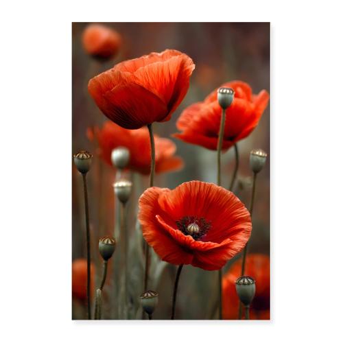Vivid red poppies - Poster 24x36