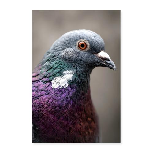 Pigeon: Urban Glint - Poster 24x36