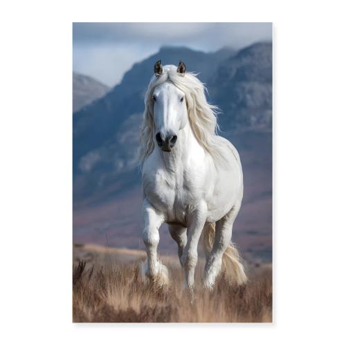 White horse galloping - Poster 24x36