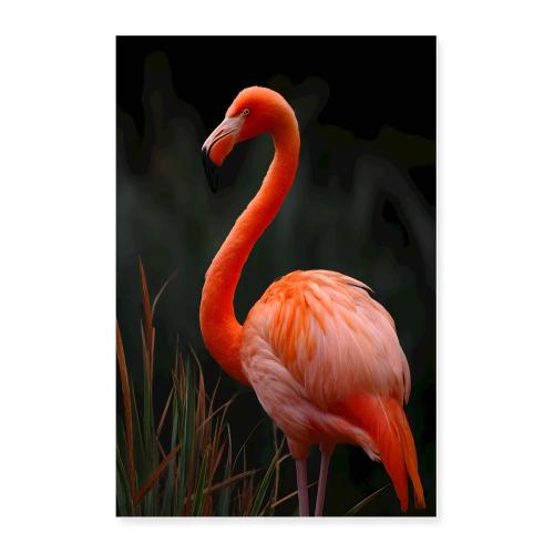 Flamingo Glow - Poster 24x36