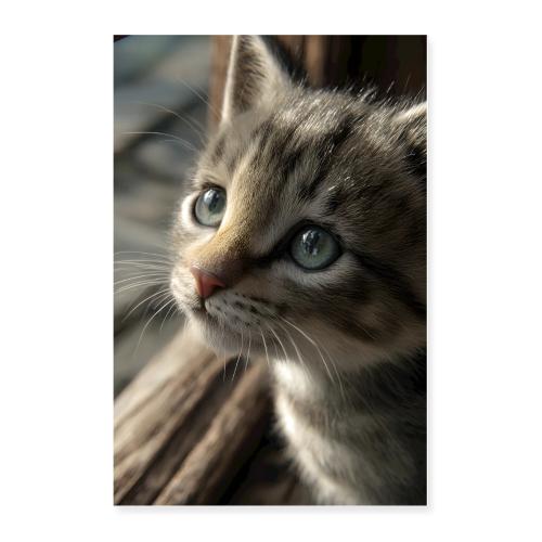 Curious Little Kitten - Poster 24x36