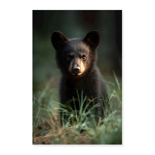 Little Black Bear Portrait - Poster 24x36