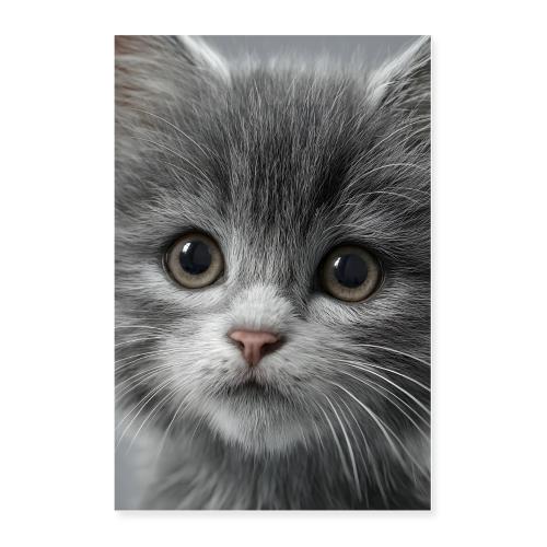 Gentle Grey Kitten Portrait - Poster 24x36