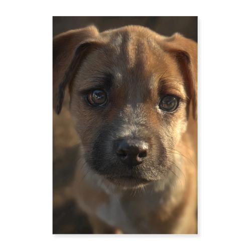 Close-Up Puppy Charm - Poster 24x36