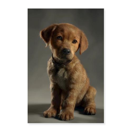 Brown Puppy Portrait - Poster 24x36