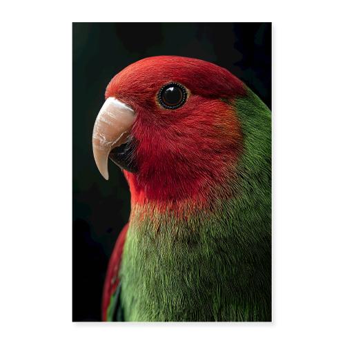 Red and Green Parrot Glow - Poster 24x36