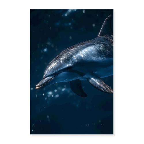 Dolphin: Blue Echoes - Poster 24x36