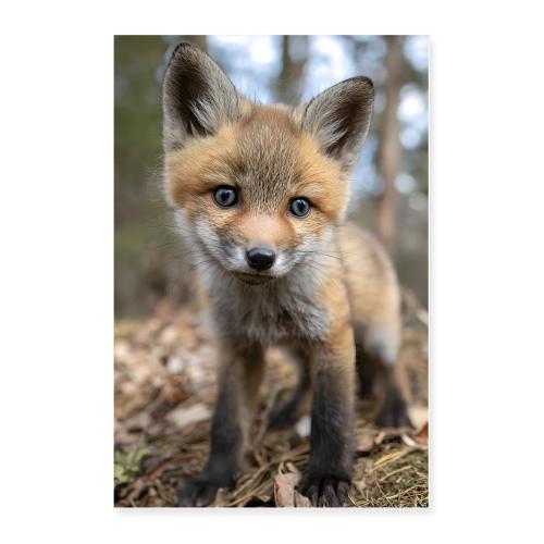 Fox: Curious Wanderer - Poster 24x36