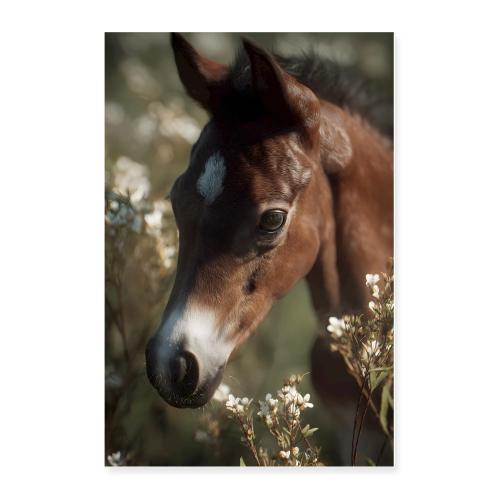 Horse: Gentle Spirit - Poster 24x36
