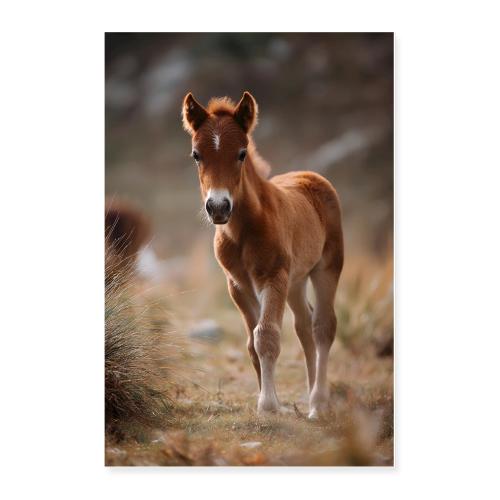 Horse: Nature’s Grace - Poster 24x36