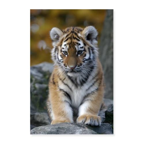 Tiger Cub: Little Explorer - Poster 24x36
