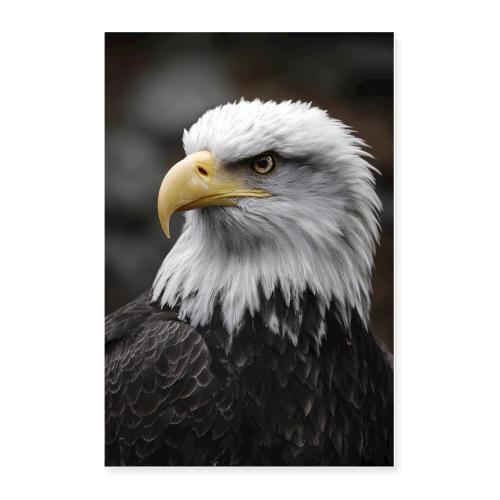 Eagle: Eyes of Majesty - Poster 24x36