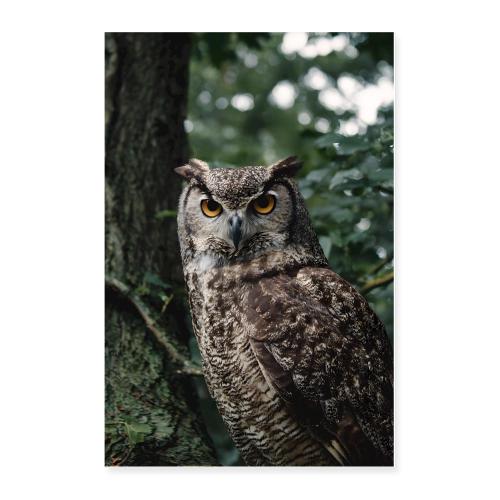 Owl: Silent Watcher - Poster 24x36