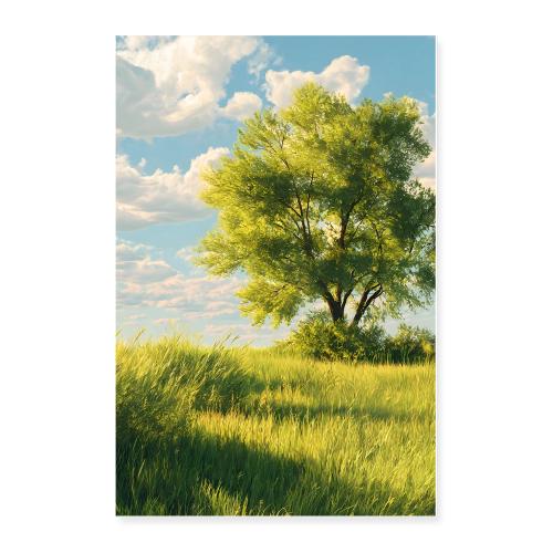 Shadows Across the Summer Field - Poster 24x36