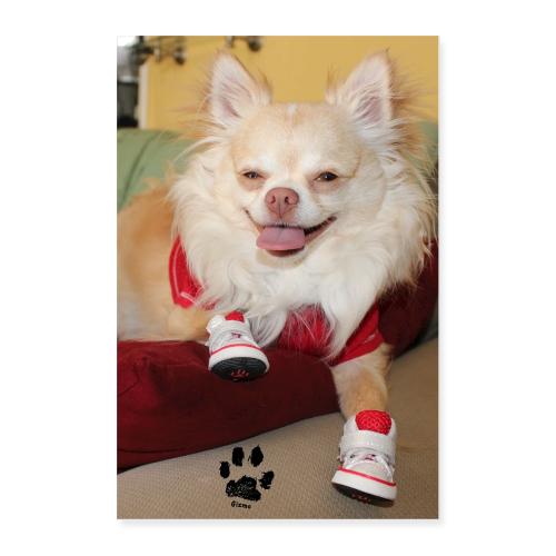 Gizmo Poster Pawtograph - Poster 24x36