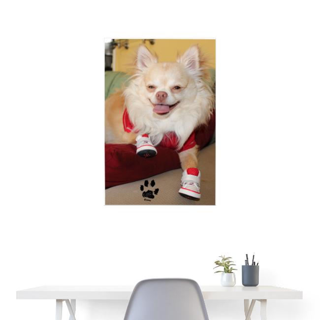 Gizmo Poster Pawtograph