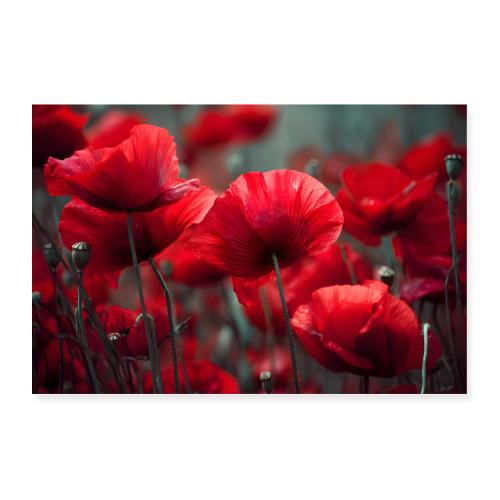 Where the Poppies Bloom - Poster 36x24