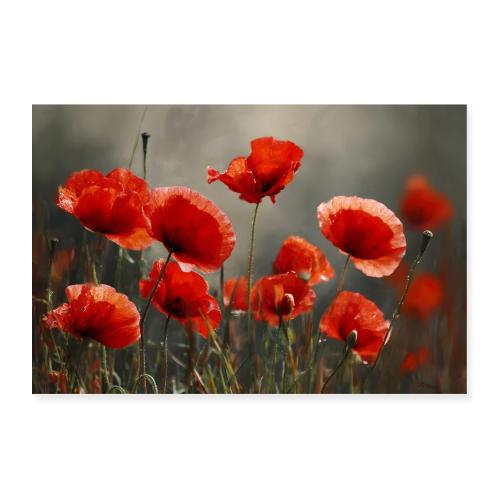 Poppies: A Tribute in Red - Poster 36x24