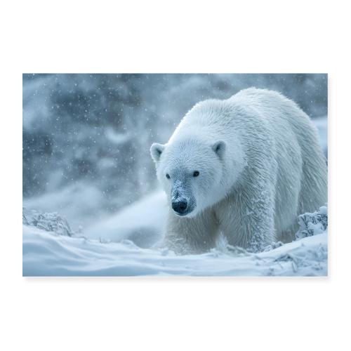 Polar bear: Silent Drift - Poster 36x24