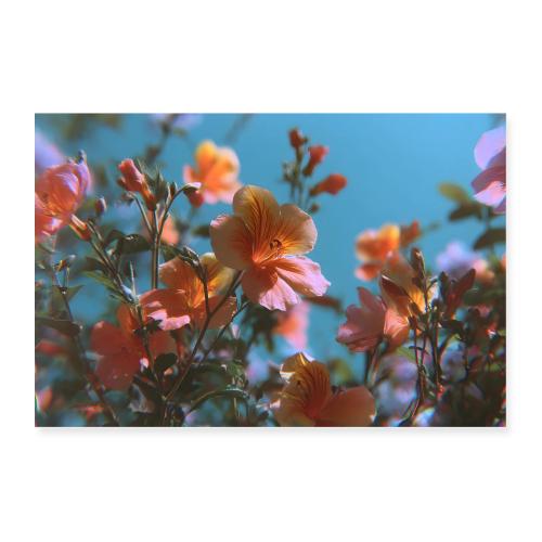 Sunlit Blossoms - Poster 36x24