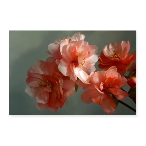 Blush and Beam - Poster 36x24