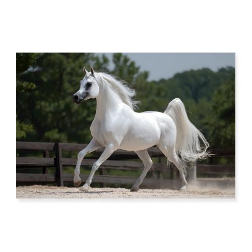 Gallop of Light - Poster 36x24