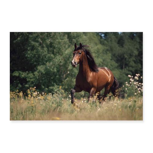 Horse: Gallop Through the Wild - Poster 36x24